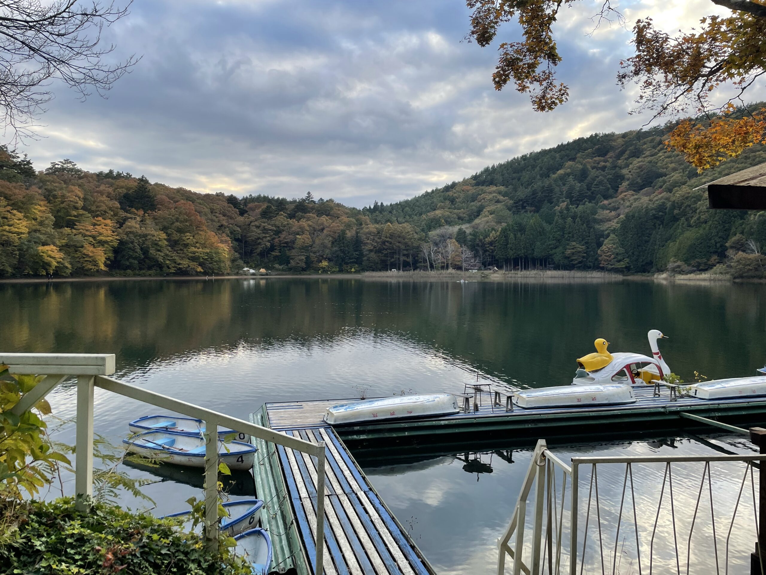 11月3日の四尾連湖で色づき始めた紅葉と湖畔