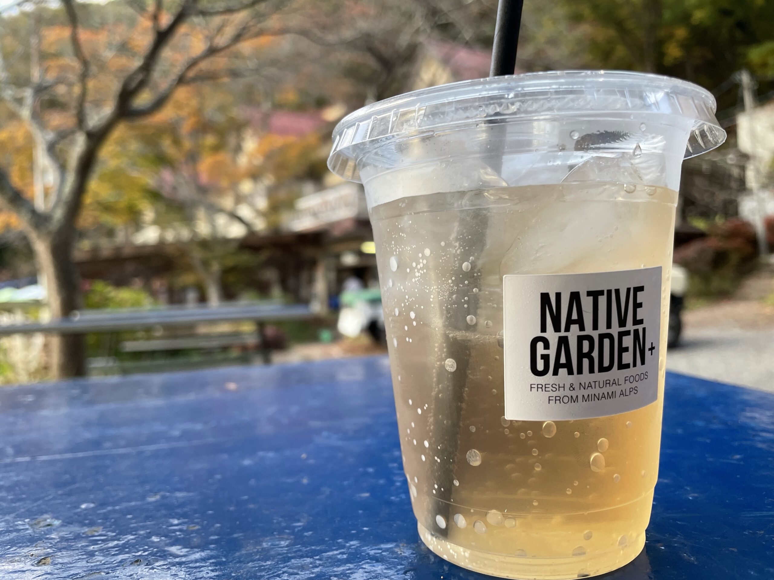 四尾連湖の湖畔で立ち寄ったNATIVE GARDEN+周辺の様子