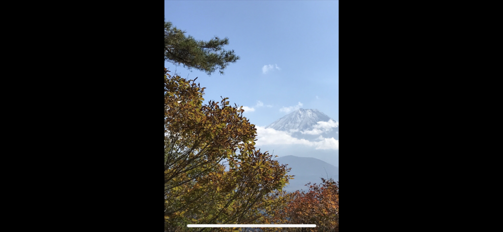 葉の色づいた木々越しに見えた富士山