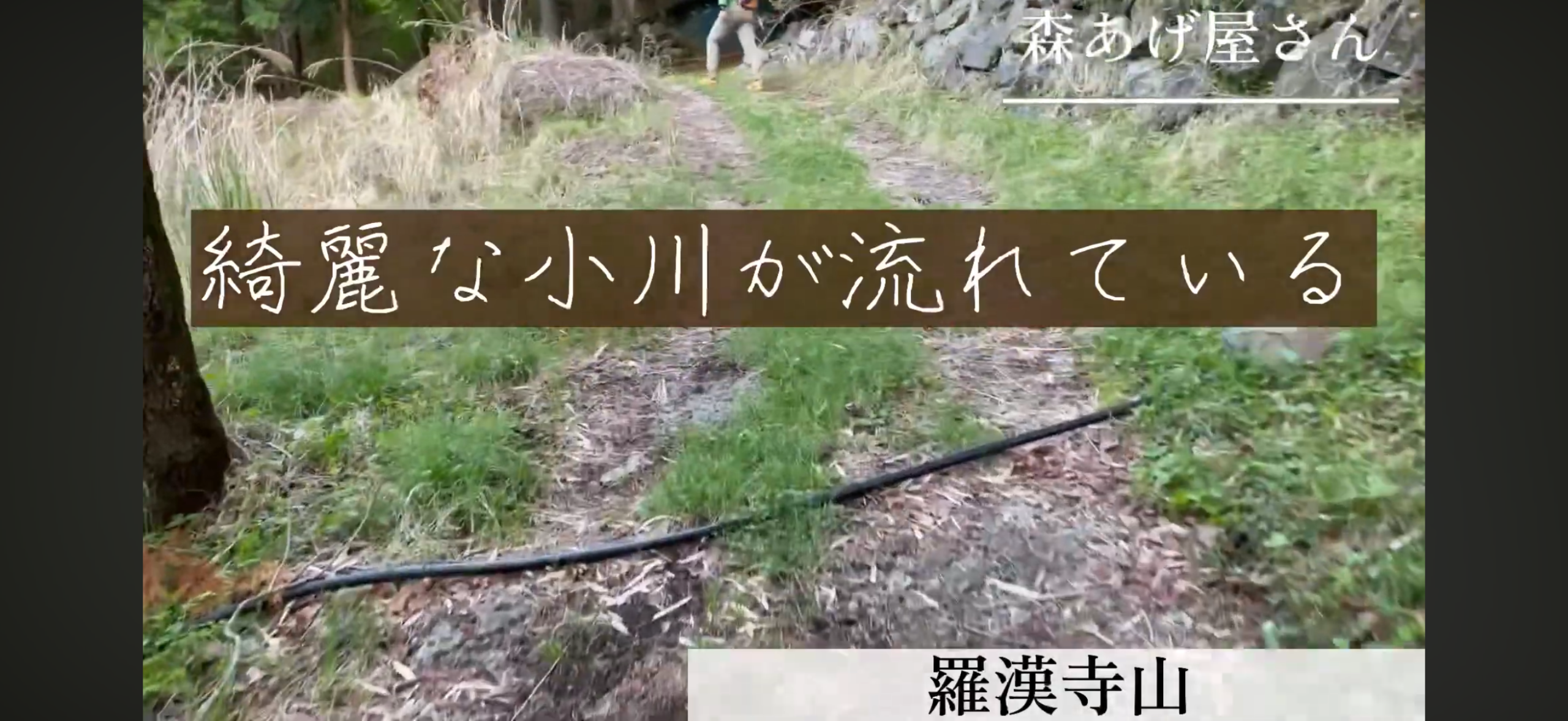 羅漢寺山へ向かう途中の小川が流れる山道