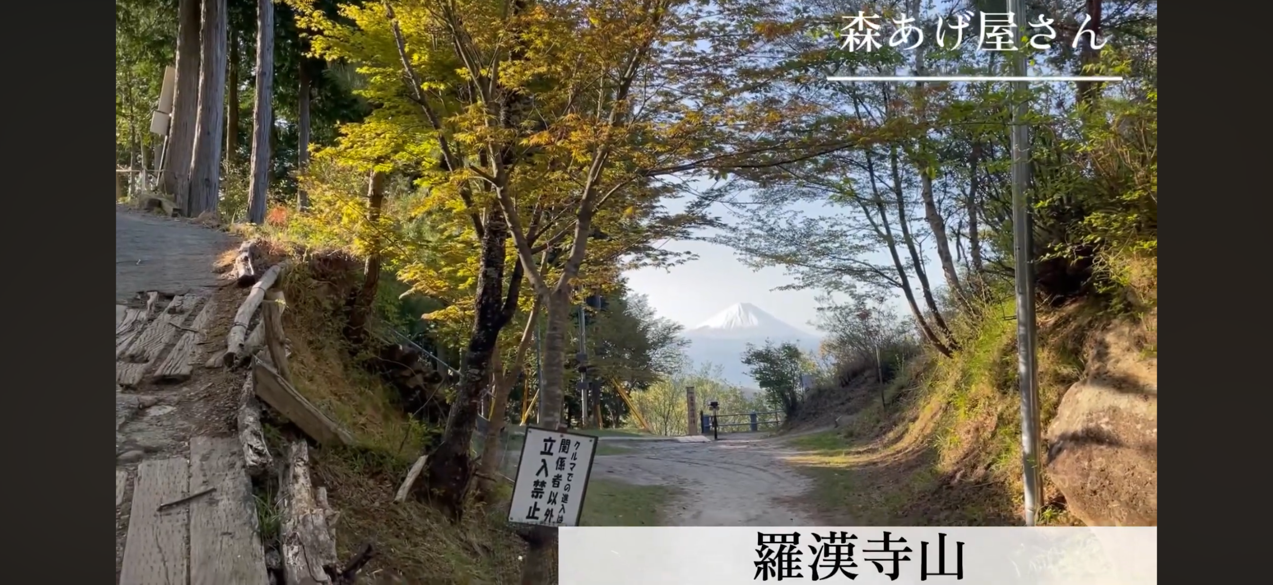羅漢寺山へ向かう途中の木々の間から見えた富士山