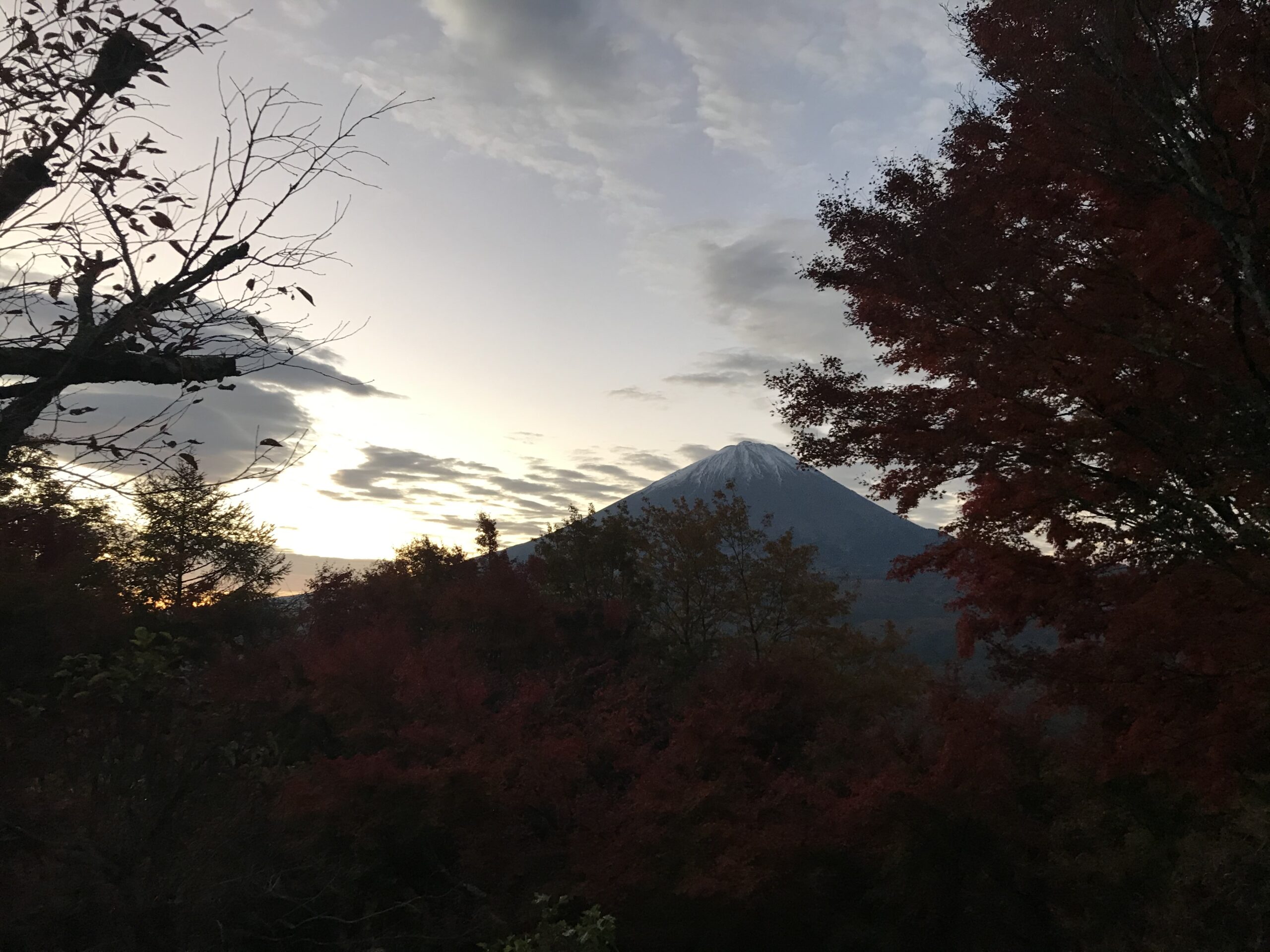 三ツ峠山の登山日に撮影した紅葉と富士山