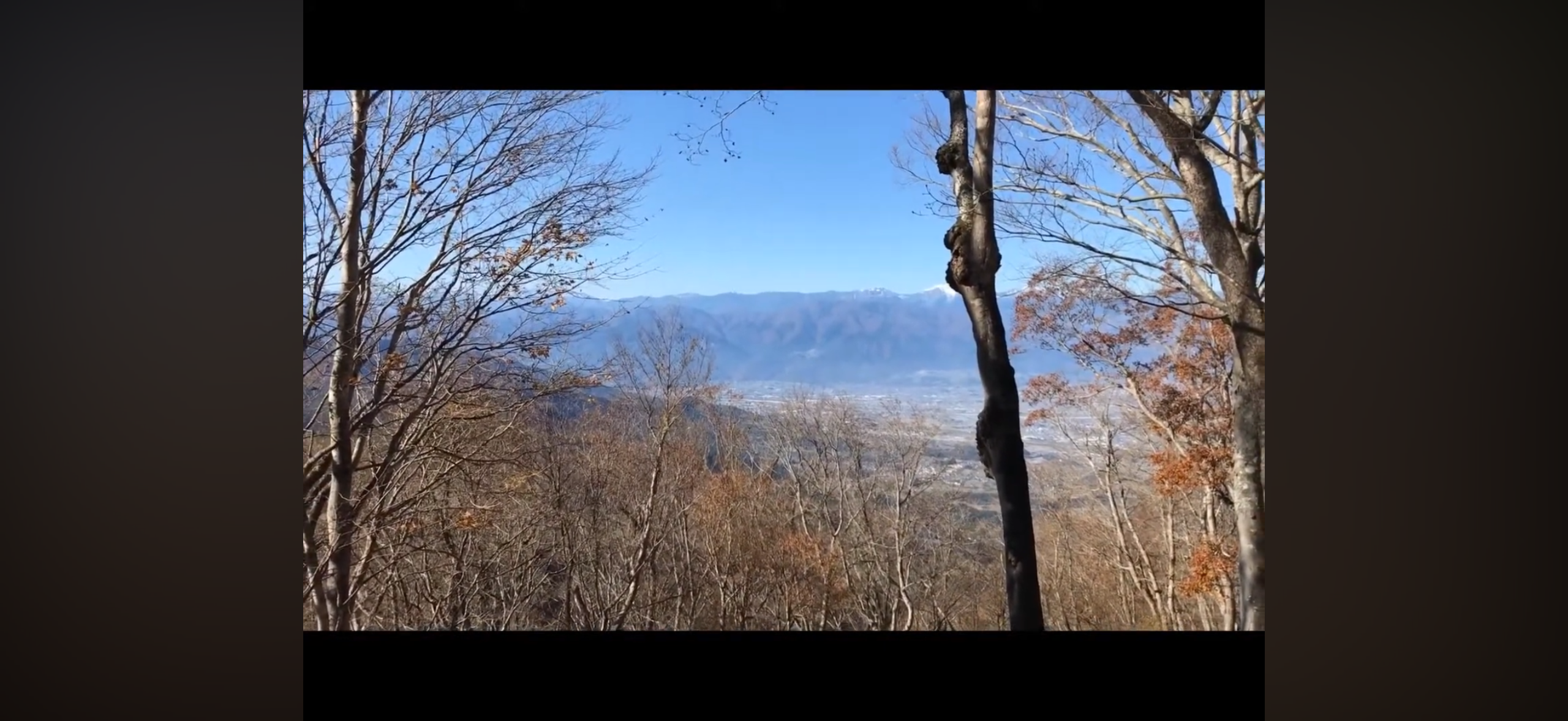 滝戸山の木々の間から望む甲府盆地と山並み