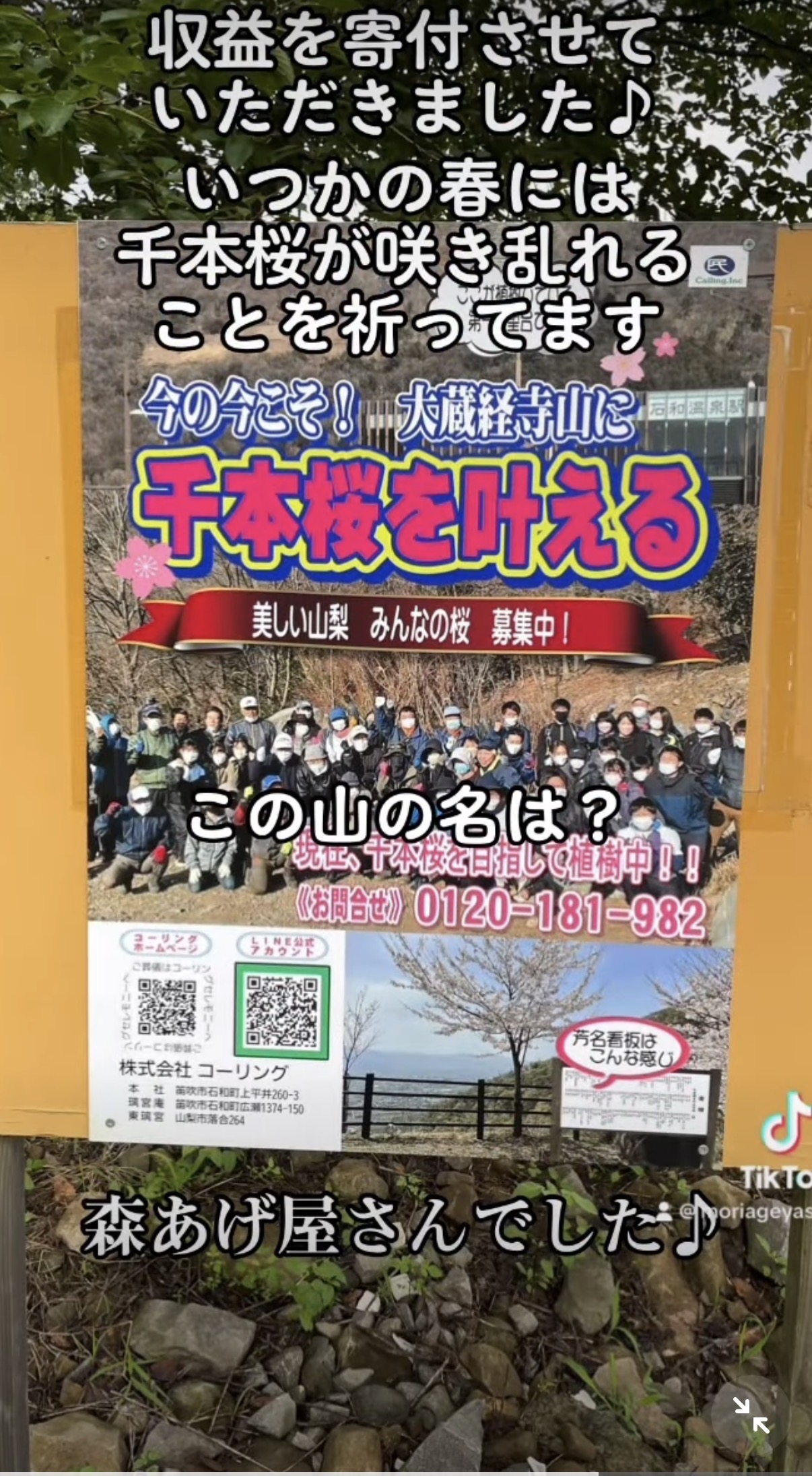 大蔵経寺山で千本桜を目指す植樹活動を紹介する案内